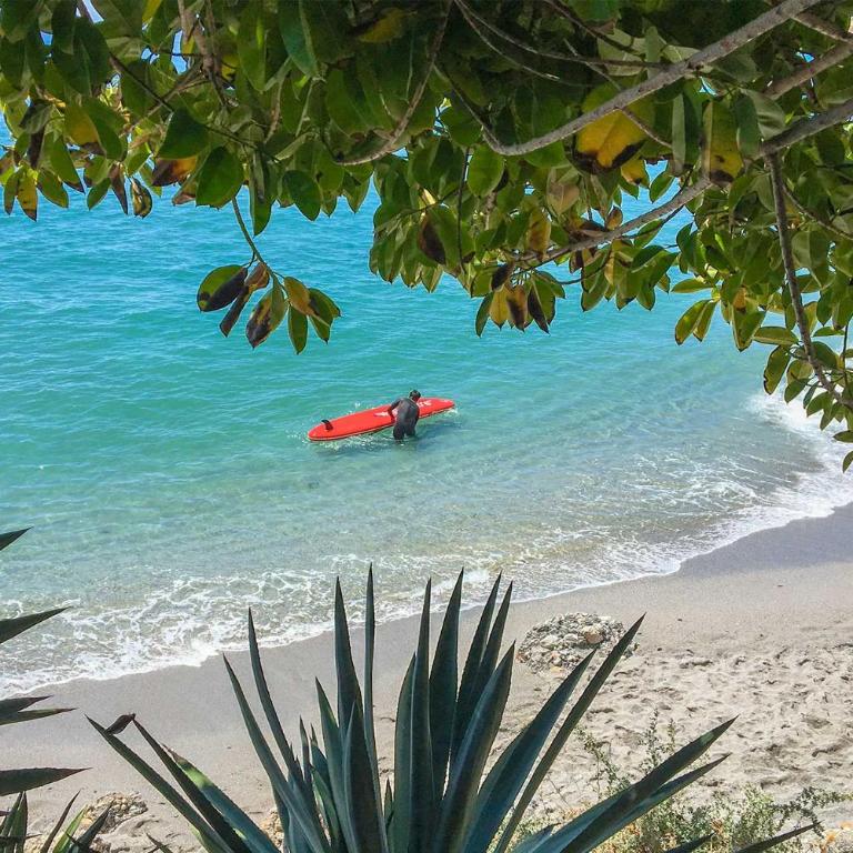 Apartamento vacacional en edificio Torresol, primera linea de playa - Apartamento de 1 dormitorio - 19
