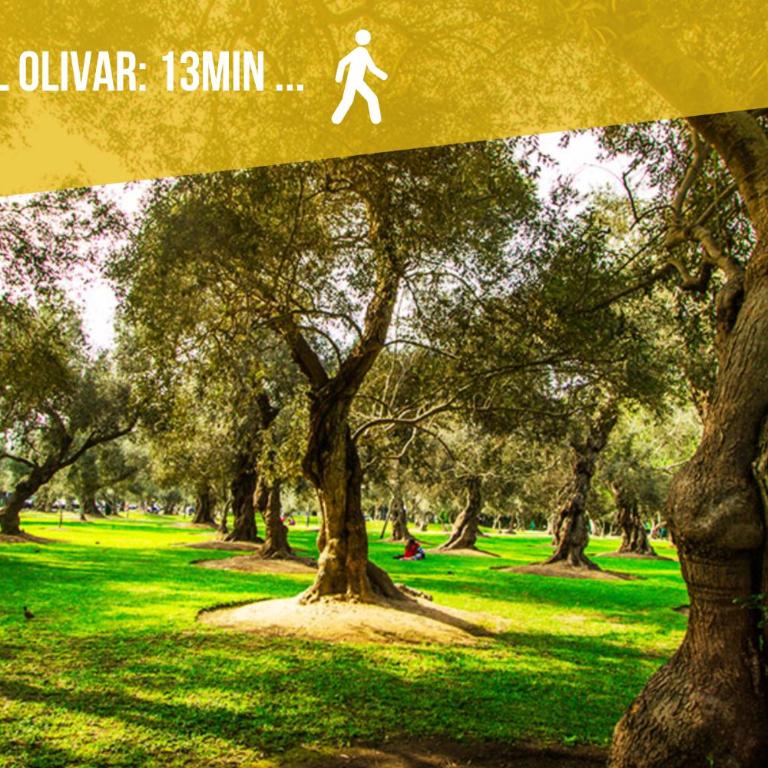 Cozy, Elegant & Comfortable Apartment in Lima - Apartamento de 2 dormitorios - 30