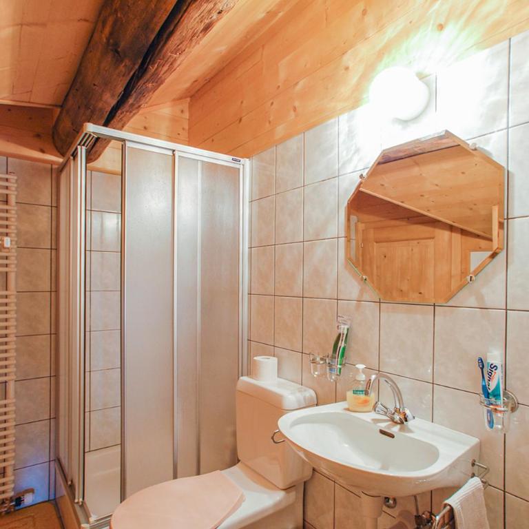 Chalet Alpage - Ferienhaus - 28
