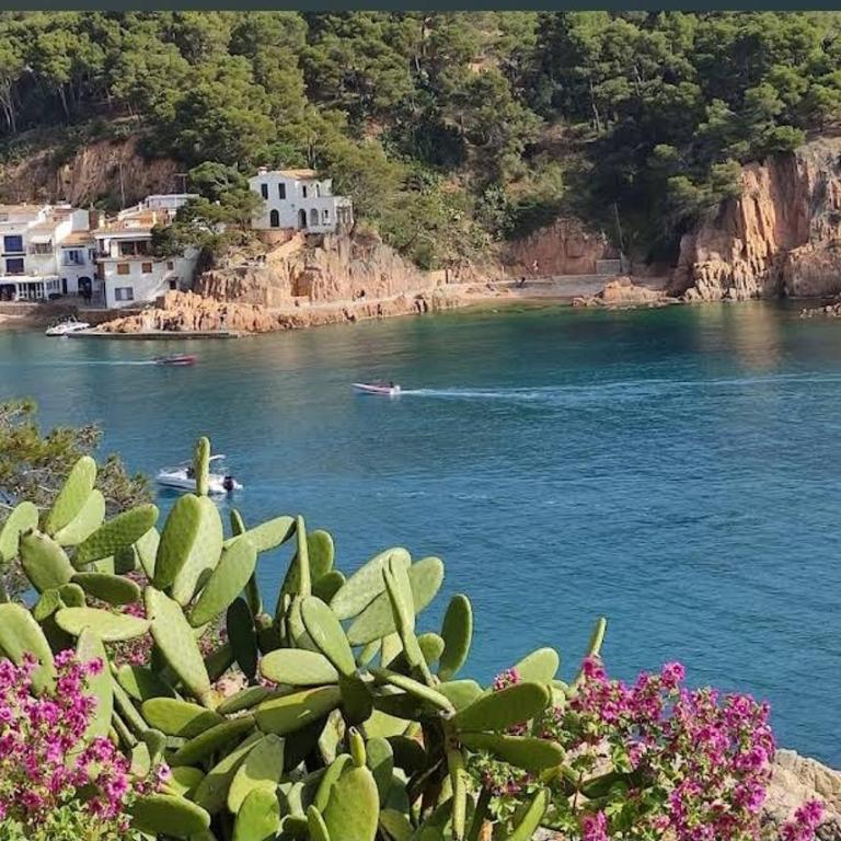 La Terrasse 6-Vue Mer Panoramique & Piscine, BBQ - Casa con 1 dormitorio - 85