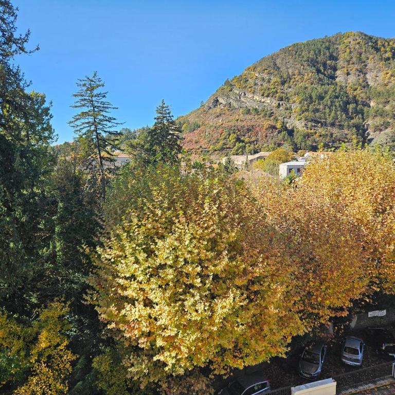 Idéal long séjour, Souvenirs de Provence,T2 classé, vue sur les montagnes, toutes commodités! - Appartement 1 Chambre - 36