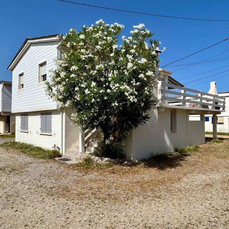 Grand Chalet pour 6 à 8, wifi et ménage - Chalet Superior - 1
