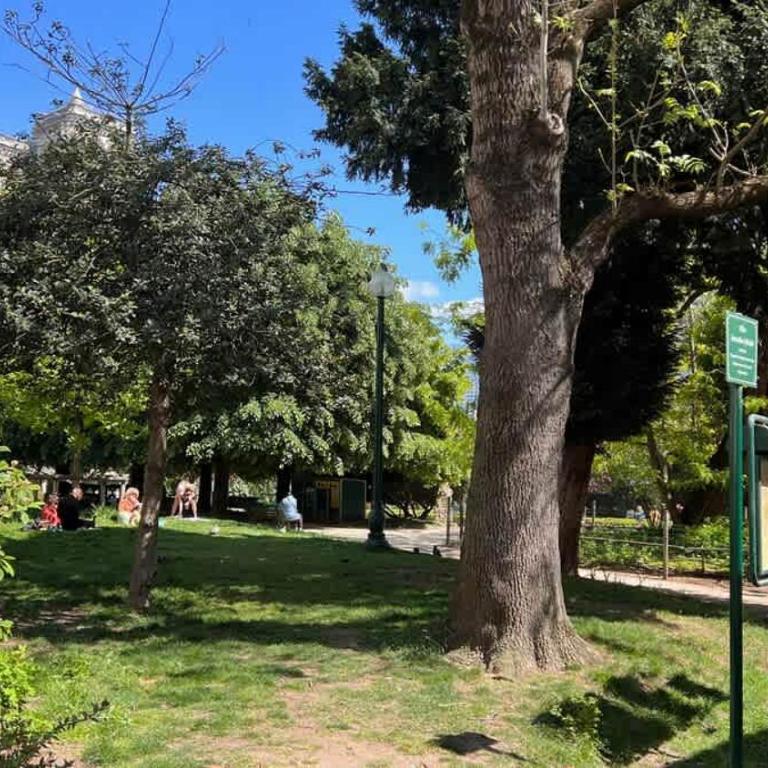 Charming Stay Near Notre Dame FDL with AC - Apartment - 53