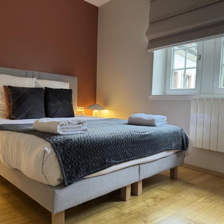 Argile - 4 places cosy - Centre historique Colmar - Appartement 2 Chambres - 12