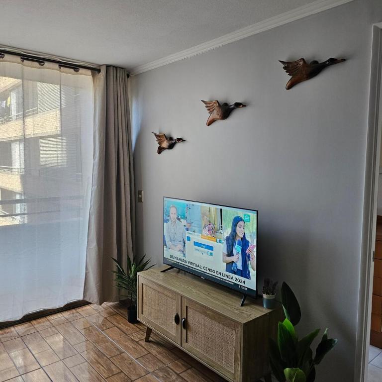 Amplio, acogedor y céntrico departamento - Two-Bedroom Apartment - 24