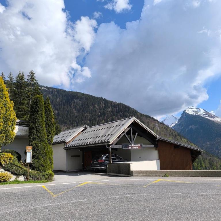 Appartement ensoleillé surplombant Morzine - Apartment mit 1 Schlafzimmer - 30