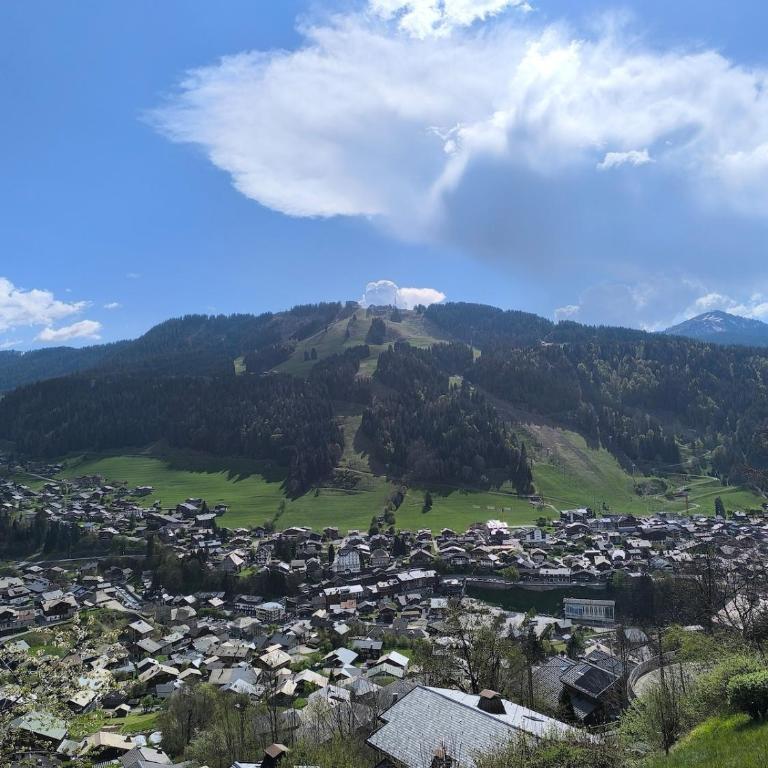 Appartement ensoleillé surplombant Morzine - Apartment mit 1 Schlafzimmer - 24