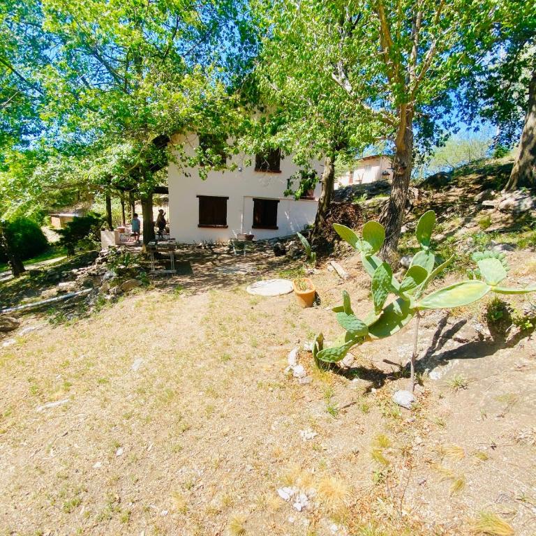 la calandria - Room #1518857101 - 8