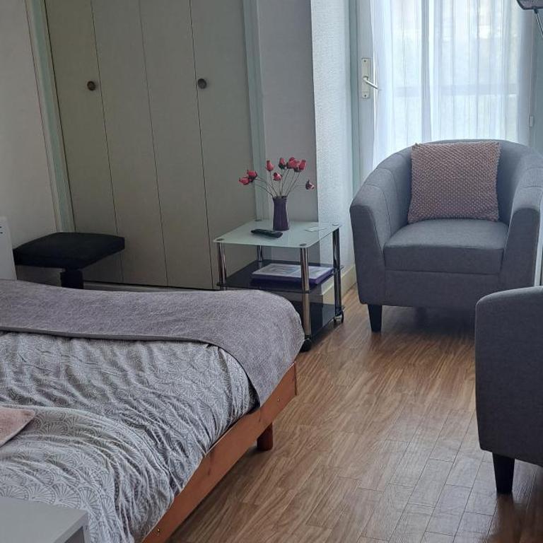 50m des cures joli studio exposition nord libre 25 juillet au 2 août promo dernières dates - Appartement 1 Chambre - 11