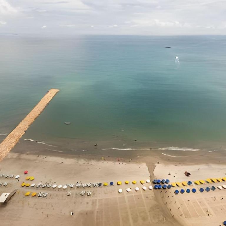 29th Floor Spectacular Apt in Palmetto Beach - Apartment - 45