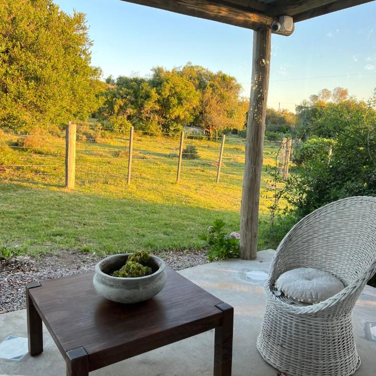 Divine artist country house, an hour from Punta del Este - Chalet de 3 dormitorios - 35