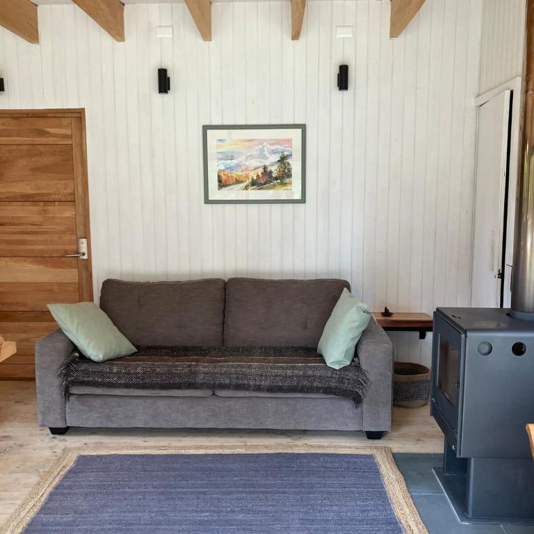 Preciosa casa V. Cerro Castillo cercana Parque - Two-Bedroom Chalet - 23