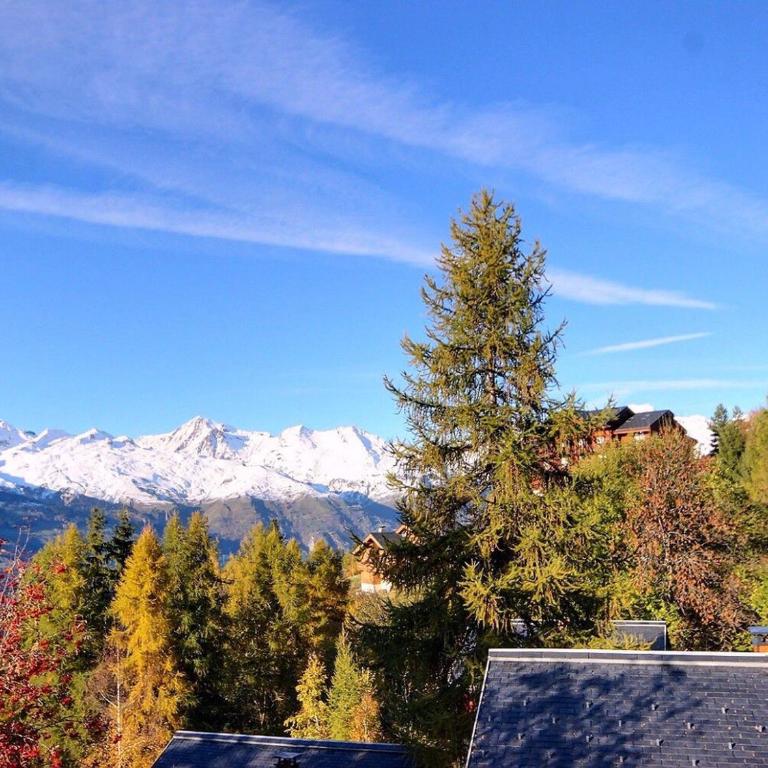 Chalet de charme 6 pers. à Vallandry près des pistes et commerces - FR-1-411-957 - Chalet - 19