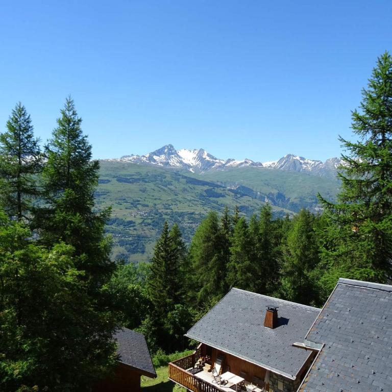 Chalet de charme 6 pers. à Vallandry près des pistes et commerces - FR-1-411-957 - Chalet - 21
