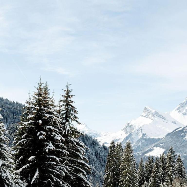 Studio en front de neige à Flaine, idéal pour skieurs, 4 pers, animaux admis - FR-1-687-58 - Studio - 9