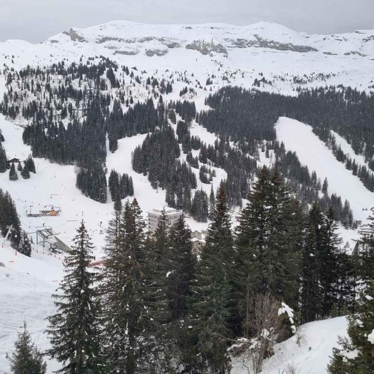 Flaine: 4P au pied des pistes, piscine, parking, 8 pers - FR-1-687-15 - Apartment - 11