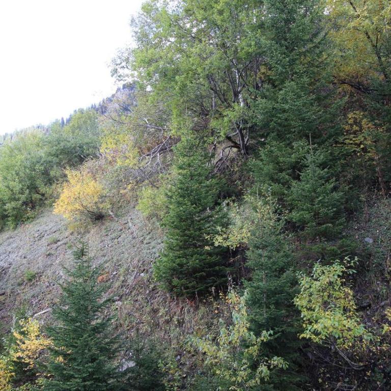 Studio rénové 4 pers, Résidence Andromède, Flaine Forêt, à 300m des pistes et 140m des commerces - FR-1-687-26 - Studio - 3