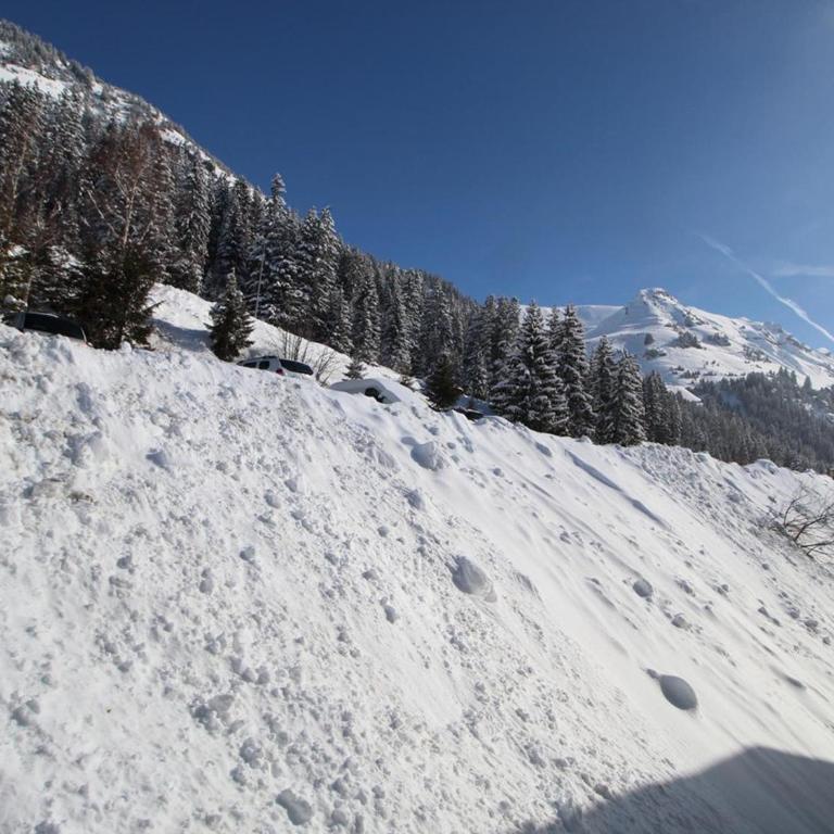 Appartement 2 pièces pour 5 pers. à Flaine Forêt, à 350m des pistes et proche des commerces - FR-1-687-34 - Apartment - 10