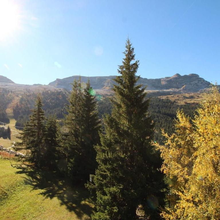 Charmant 2 Pièces pour 6 Personnes à Proximité des Pistes - Résidence Bélier, Flaine Forêt - FR-1-687-49 - Apartamento - 9