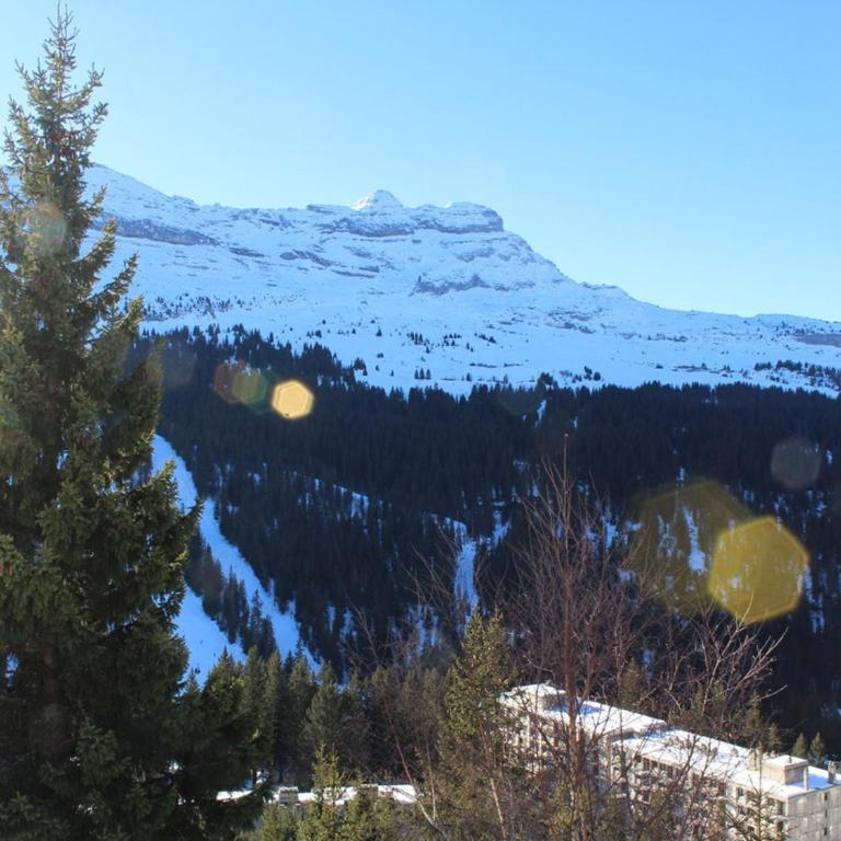 Charmant 2 Pièces pour 6 Personnes à Proximité des Pistes - Résidence Bélier, Flaine Forêt - FR-1-687-49 - Apartamento - 14