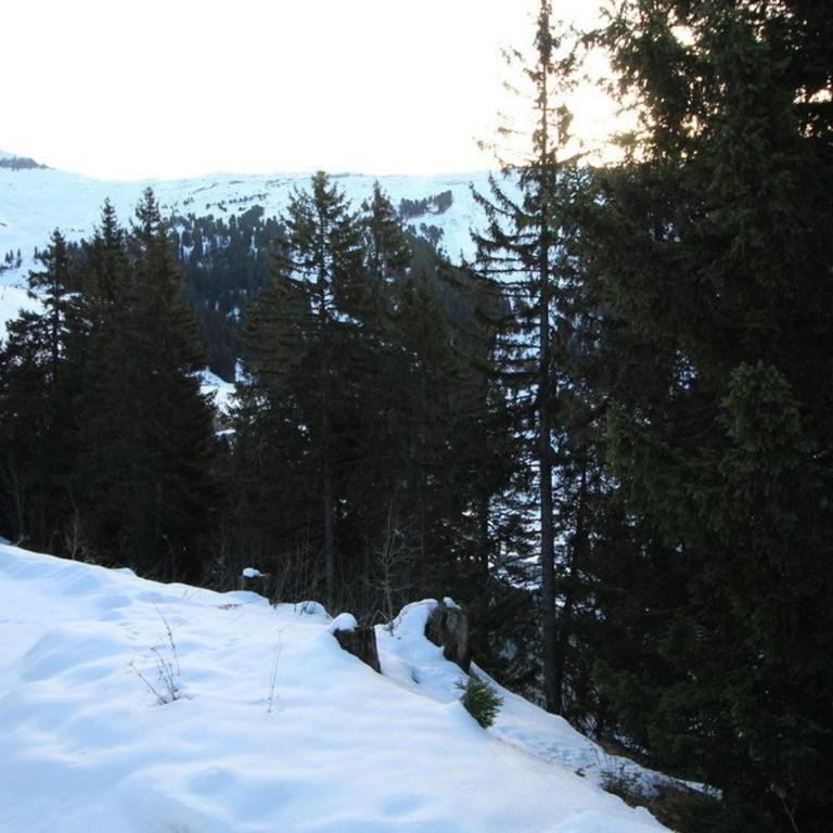 Appartement 2 Pièces 6 Pers à Flaine Forêt, Résidence Pollux, Proche Pistes et Commerces - FR-1-687-71 - Apartment - 7
