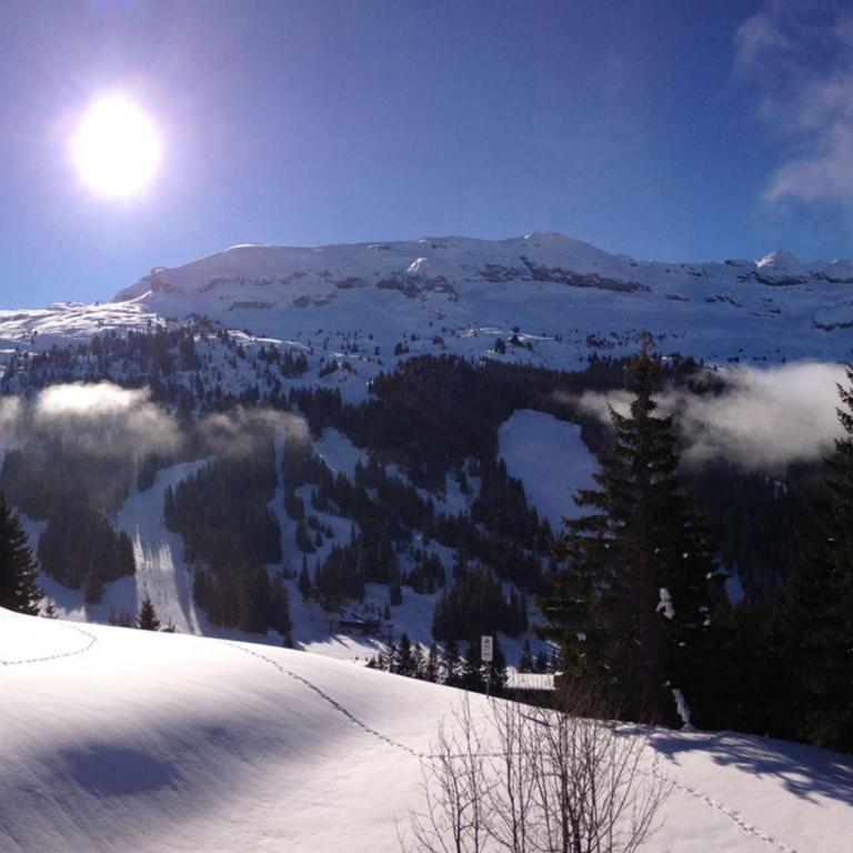Studio pour 4 pers., proche pistes et commerces, balcon sud, à Flaine Forêt - FR-1-687-66 - Studio - 6