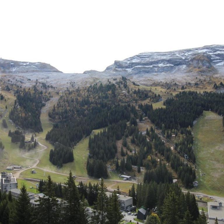 Studio cosy 4 pers, 300m des pistes, Flaine - FR-1-687-97 - Studio - 11