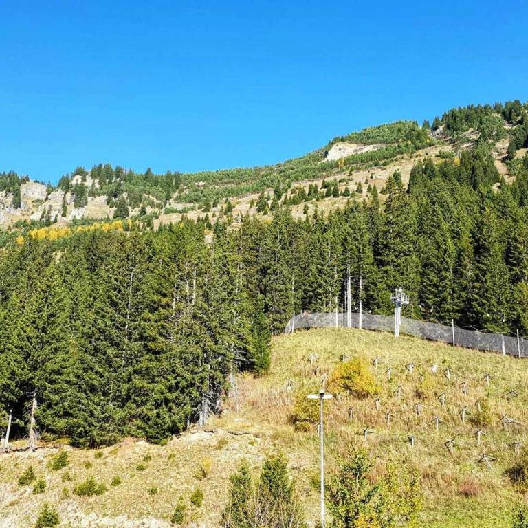 Studio 5 pers à Flaine, proche pistes et commerces, animaux admis - FR-1-687-91 - Monolocale - 9