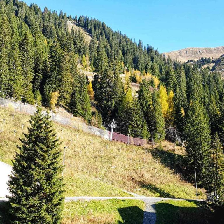 Studio 5 pers à Flaine, proche pistes et commerces, animaux admis - FR-1-687-91 - Monolocale - 10