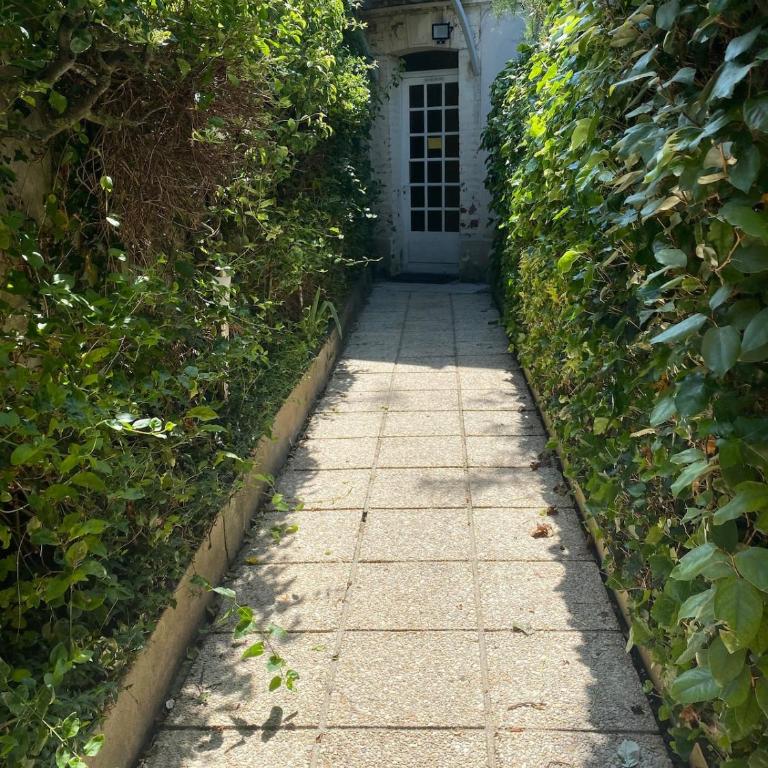 Rosebud - Appartement 1 Chambre - 14