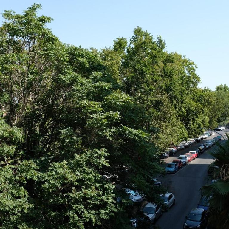 Trastevere Terrace Bright Apartment - Appartamento con 1 Camera da Letto - 2
