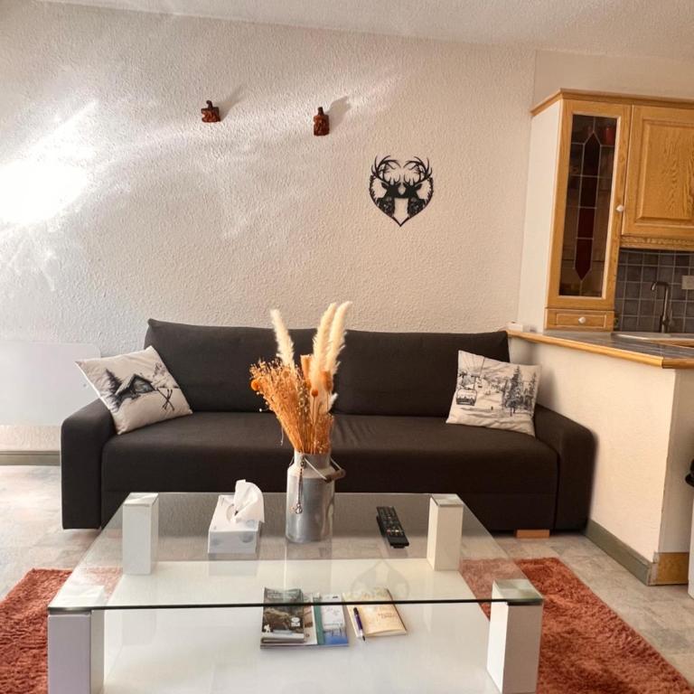 Appartement entier duplex 34m2 au seignus Allos - Appartement 1 Chambre - 4