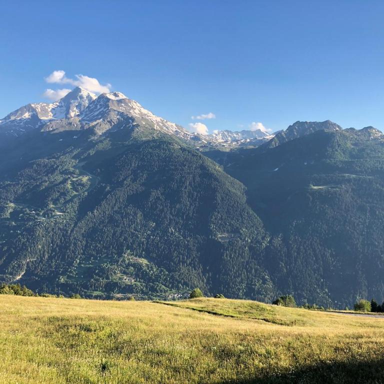 Les Alpages du Soleil - Chalet - 33