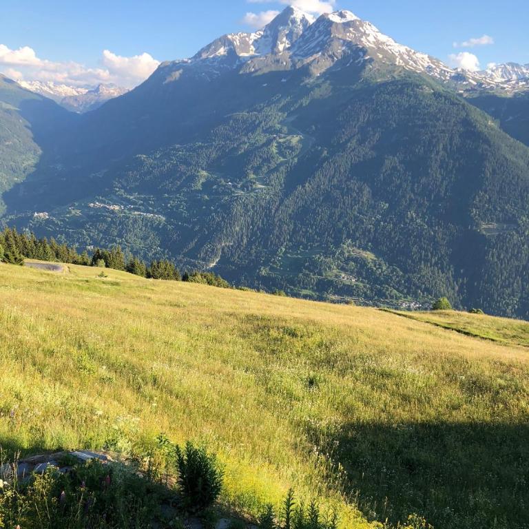 Les Alpages du Soleil - Chalet - 35
