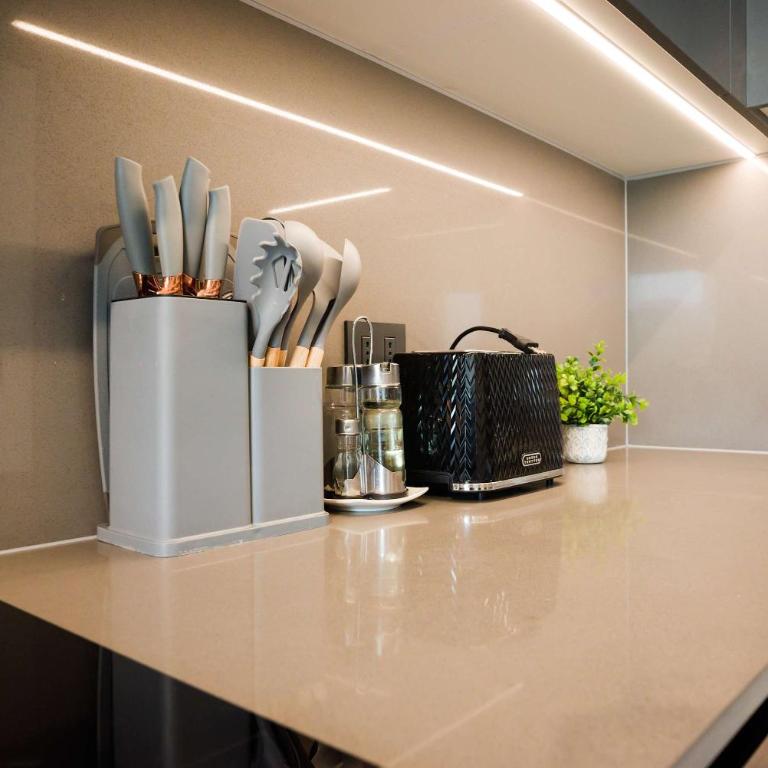 Araucano Park Luxe Pool and Gym 1BR Exec Suite - Apartamento - 24