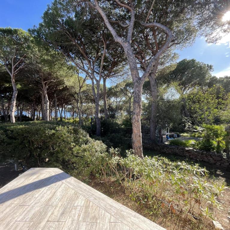 Villa Marghe - Casa con 2 Camere da Letto - 44