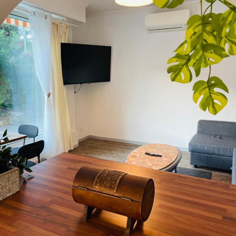 centre Golf Juan - beach & train station - Appartement 1 Chambre - 4