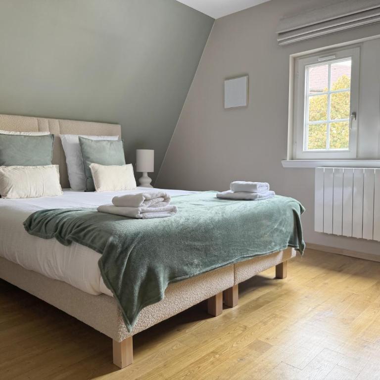 Pistache - Charme et confort au cœur de Colmar - Appartement 2 Chambres - 3