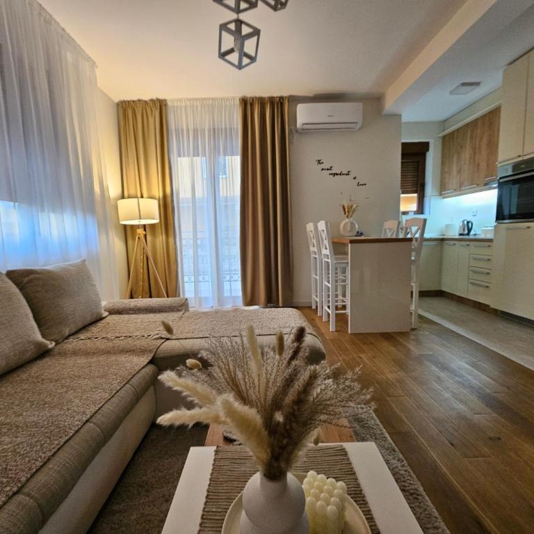 Apartman Emma Vrnjačka Banja - Apartman sa 1 Spavaćom Sobom - 1