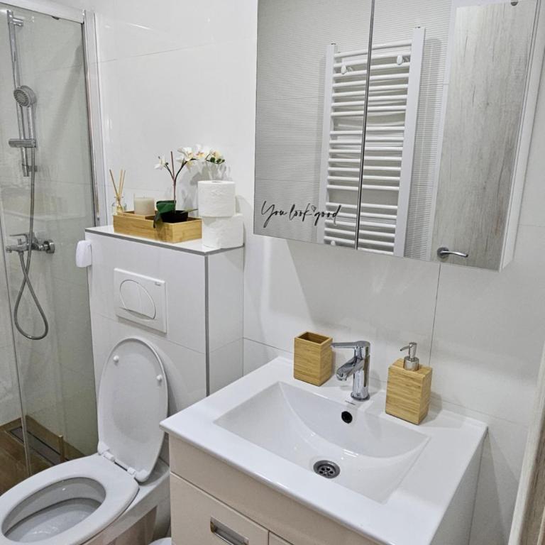 Apartman Emma Vrnjačka Banja - Apartman sa 1 Spavaćom Sobom - 6