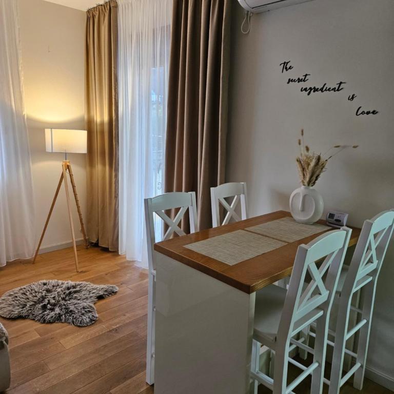 Apartman Emma Vrnjačka Banja - Apartman sa 1 Spavaćom Sobom - 3