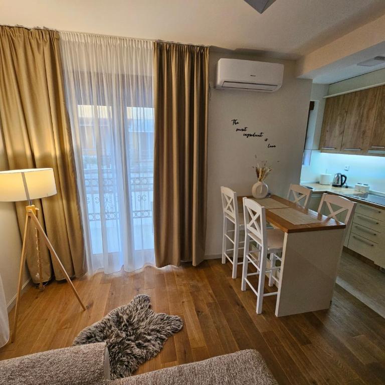Apartman Emma Vrnjačka Banja - Apartman sa 1 Spavaćom Sobom - 2
