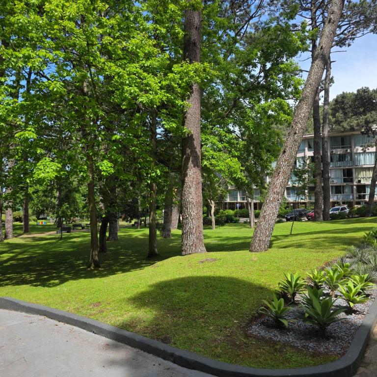 Arcobaleno Anillo 1 - One-Bedroom Apartment - 24