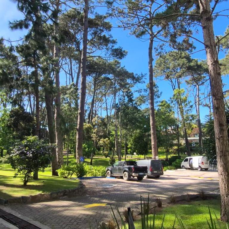 Arcobaleno Anillo 1 - One-Bedroom Apartment - 28