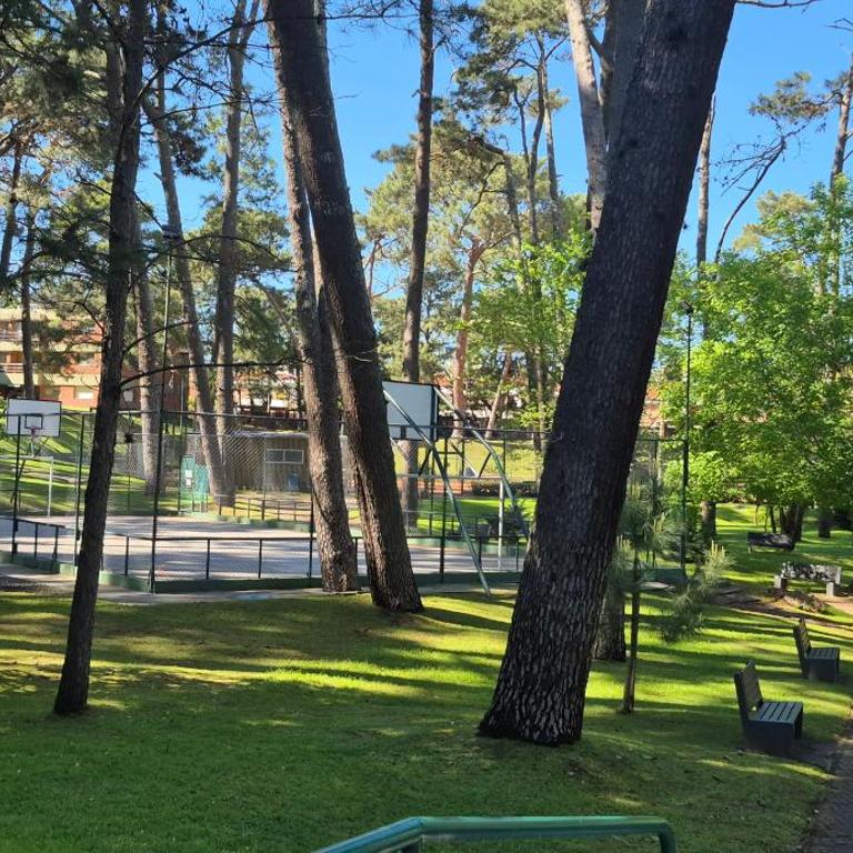 Arcobaleno Anillo 1 - One-Bedroom Apartment - 31