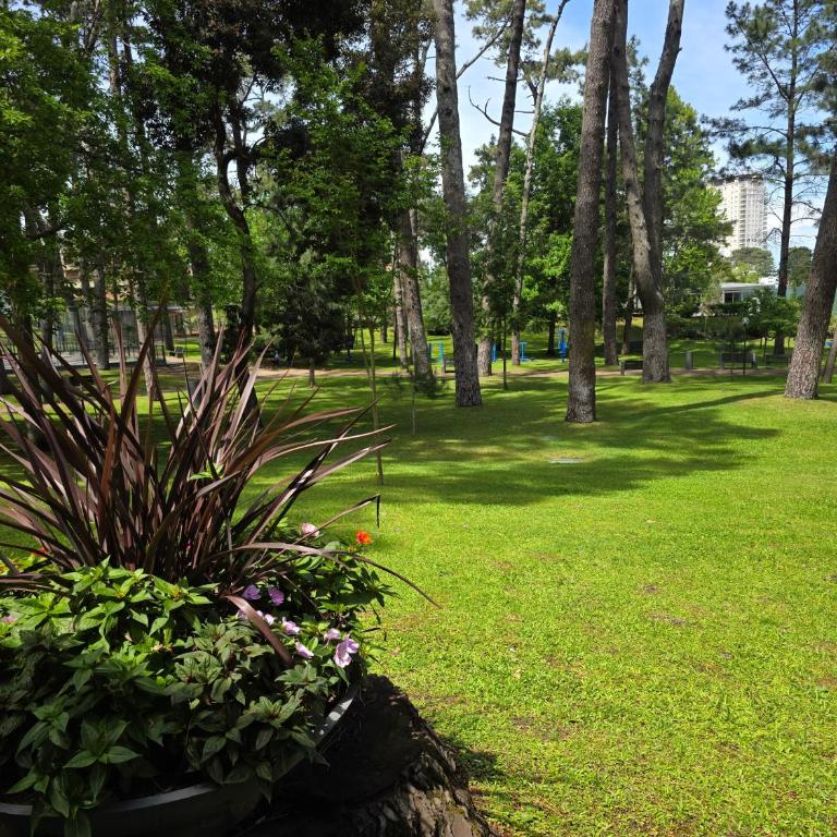 Arcobaleno Anillo 1 - One-Bedroom Apartment - 33