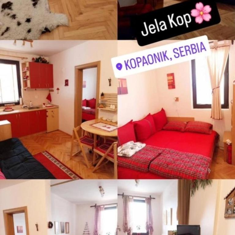 Vila Boris, Apartman Aleksej - Kopaonik - One-Bedroom Apartment - 16