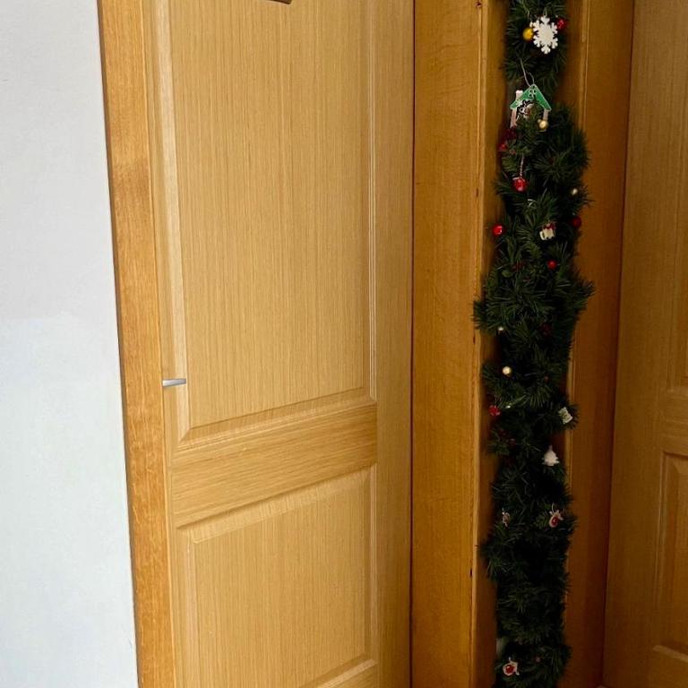 Vila Boris, Apartman Aleksej - Kopaonik - One-Bedroom Apartment - 15
