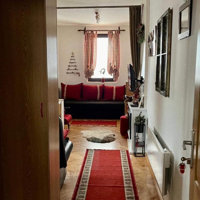 Vila Boris, Apartman Aleksej - Kopaonik - One-Bedroom Apartment - 14