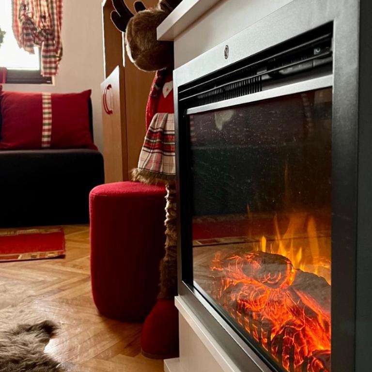 Vila Boris, Apartman Aleksej - Kopaonik - One-Bedroom Apartment - 12